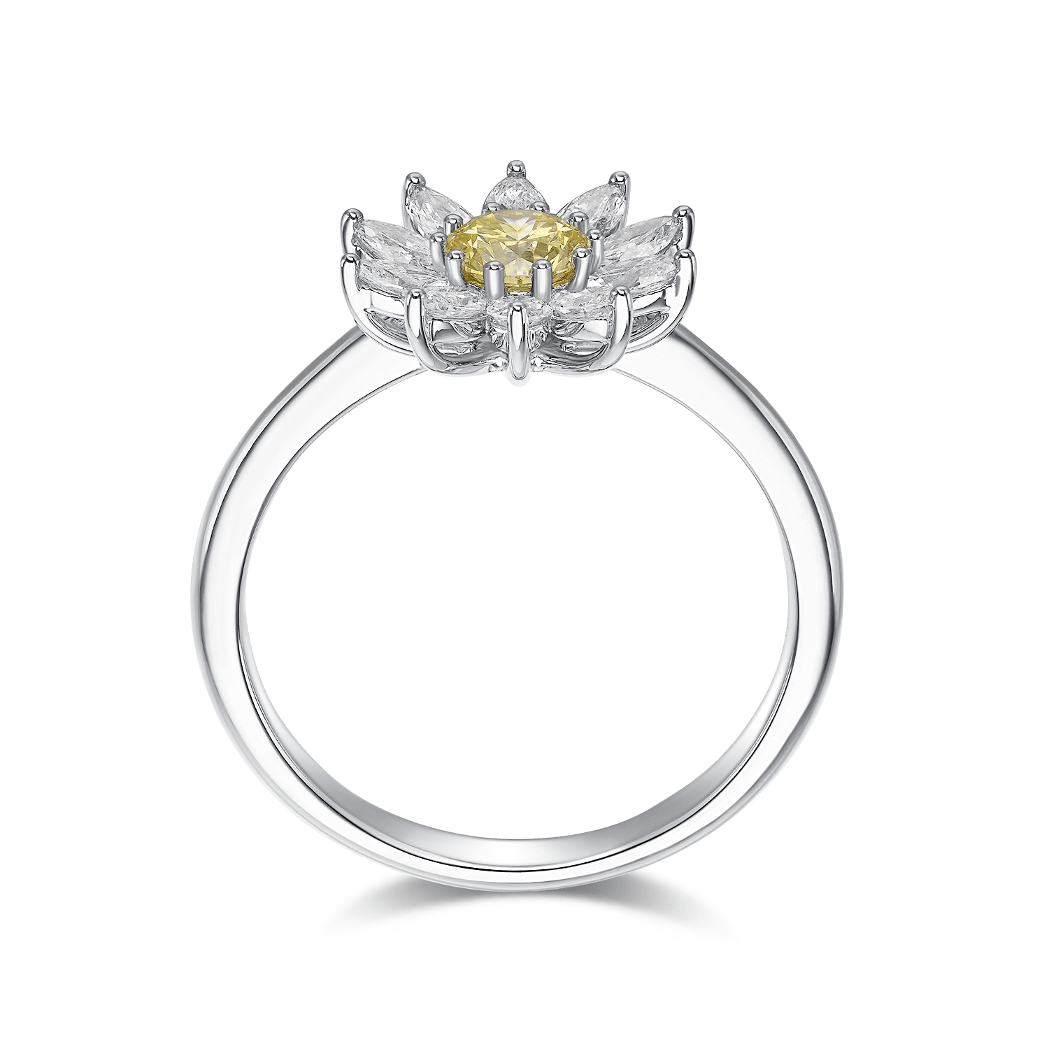 Sunlit Daisies Ring