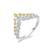 CROWN OF GLORY