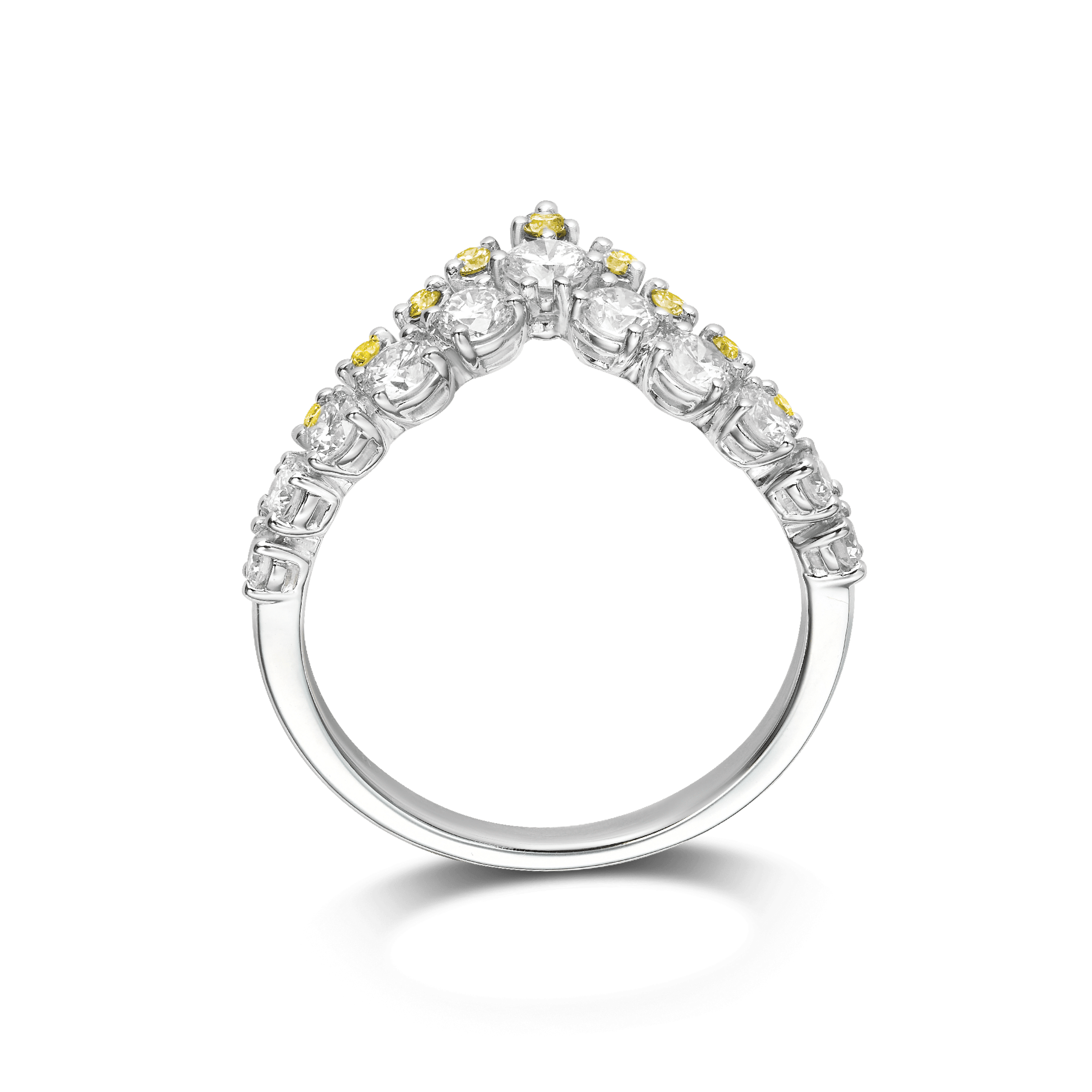 CROWN OF GLORY