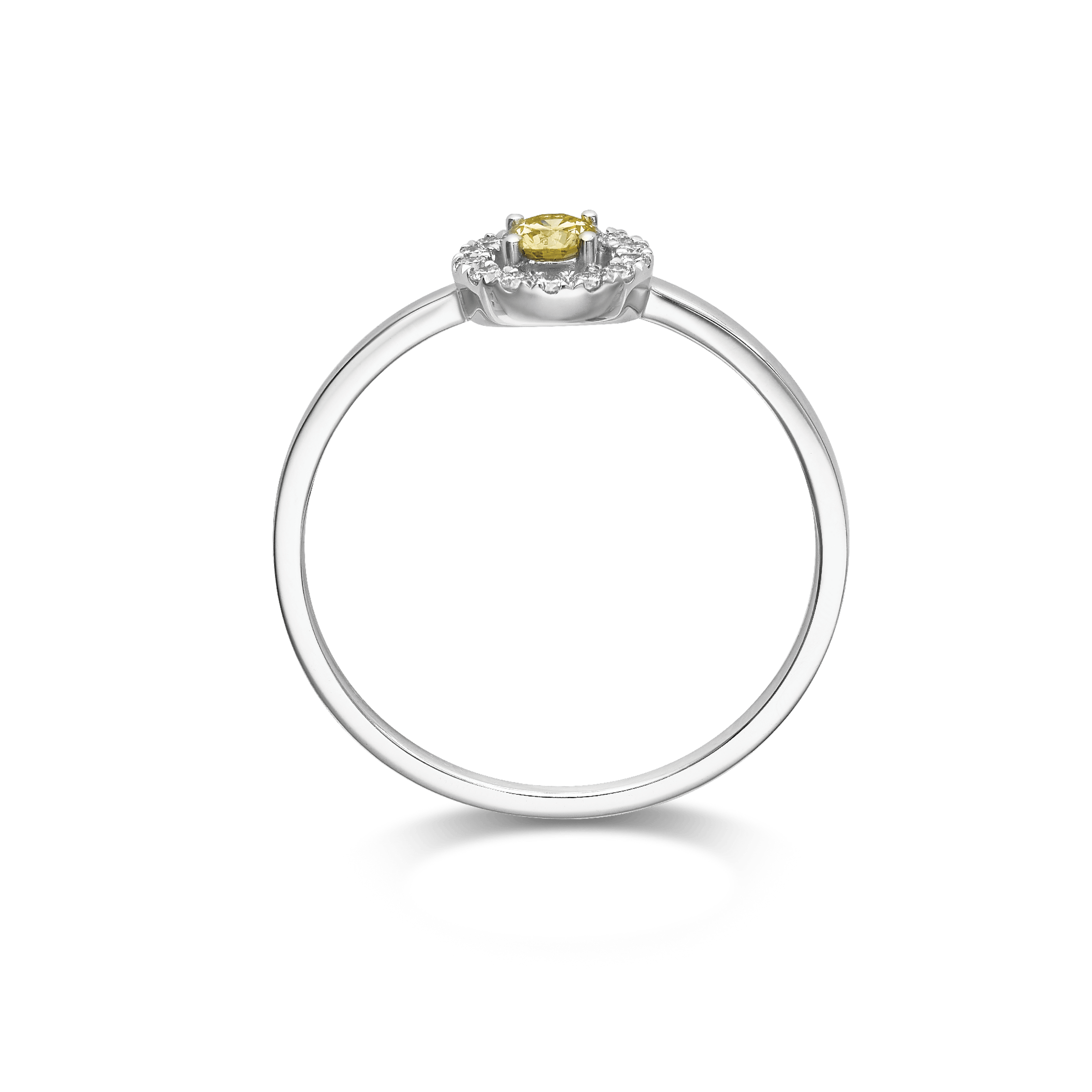 SUNSHINE RING