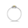 SUNSHINE RING